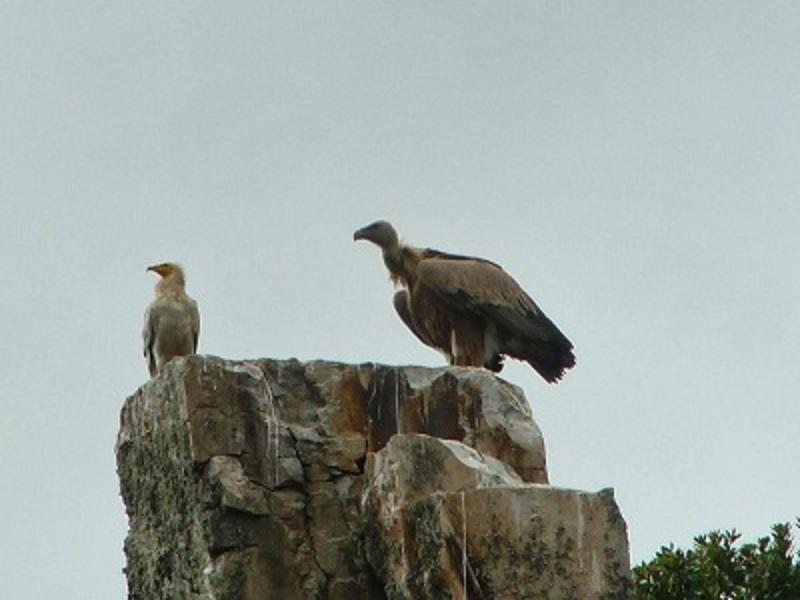 Los Montes Casas de Miravete Buitenkant foto